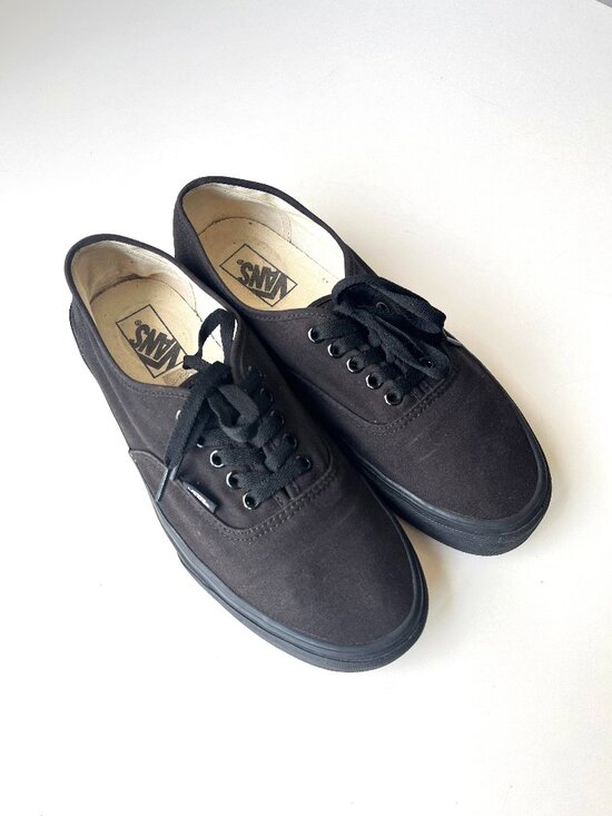 Vans Other - Men's Blackout Authentic Shoe Low Top Sneaker Size 10